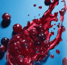 ProvaDent Ingredients 