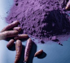 ProvaDent Ingredients 